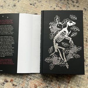 Hell Bent by Leigh Bardugo Illumicrate edition